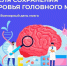 Неделя сохранения здоровья головного мозга  (в честь Всемирного дня мозга 22 июля). - Администрация Приволжского района