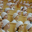 Более 700 первокурсников начали обучение в Ивановском медуниверситете - Приволжская новь