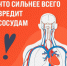 Период с 15.12.2025 по 21.12.2025 Министерством здравоохранения Российской Федерации объявлен как «Неделя ответственного отношения к здоровью».. - Администрация Приволжского района